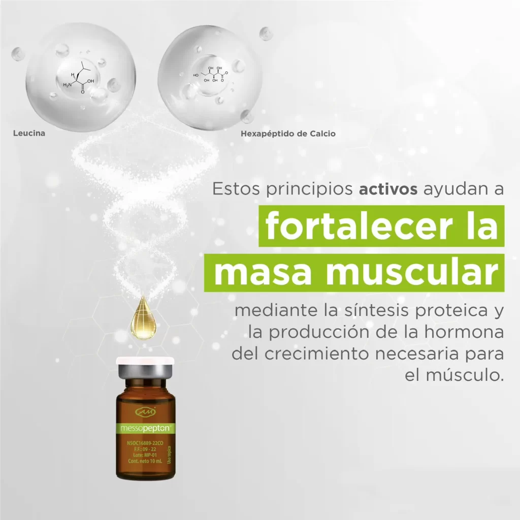 Fortalecer-masa-muscular